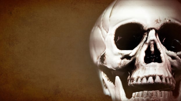Halloween Concept Head Skull Background photo