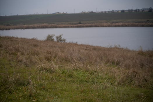 A man standing in a field with a fire hydrant photo