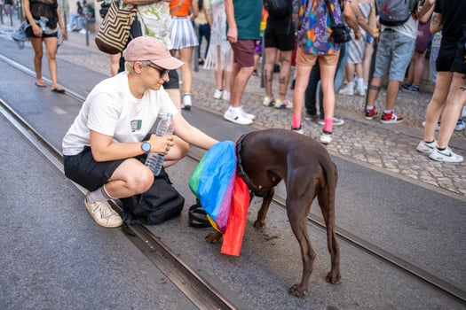 Woman covering dog with rainbow flag on tramway during pride parade photo