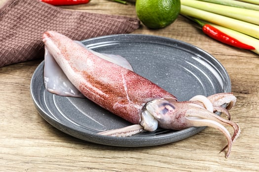 Raw fresh squid for cooking photo