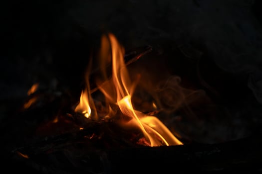 A fire in the woods. Flames from firewood. Picnic in the wilderness. photo