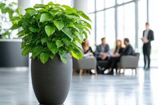 Lush green plant in modern office setting photo