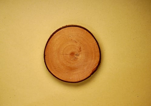 One piece of empty copy spaced sliced wood coaster isolated on horizontal brown kraft paper from top angle view. photo