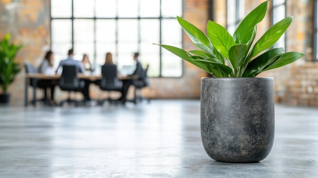 green plant in concrete pot in modern office photo
