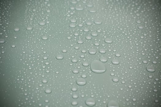 Water drops on green background photo