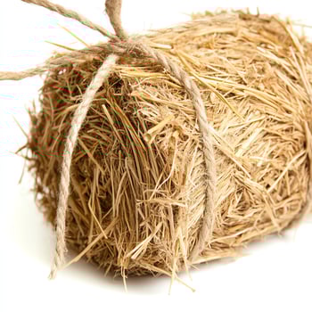 A bundle of straw tied with rope, isolated on a white background. photo