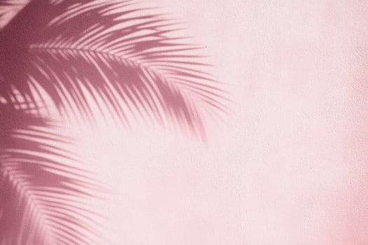 Pink Wall with Palm Leaf Shadow Overlay Tropical Summer Background Texture photo