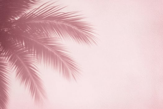 Pink Wall with Palm Leaf Shadow Summer Tropical Background photo