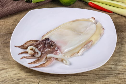Raw fresh cuttlefish for cooking photo