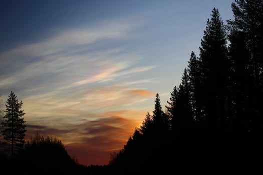 Nacreous clouds in the morning over forest silhouette photo