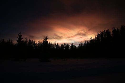 Nacreous and cumulus clouds in dusk over tree silhouettes photo