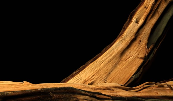 Background of logs, bark, 3D illustration photo