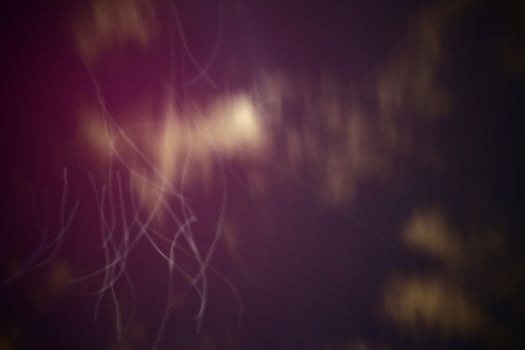 Long exposure of night sky with seagull trails photo