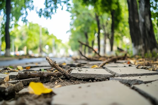A street with broken bricks and leaves photo