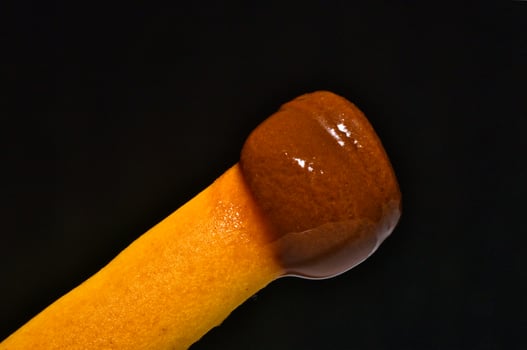 bread stick dipped on chocolate photo