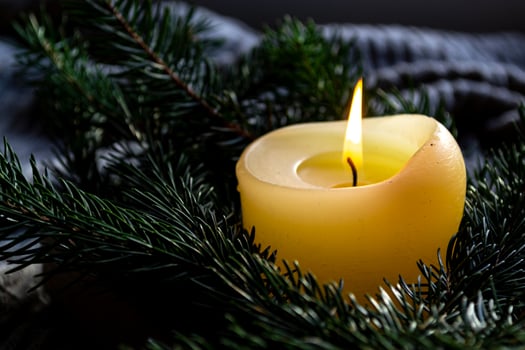 A small burning candle among the branches of a spruce photo
