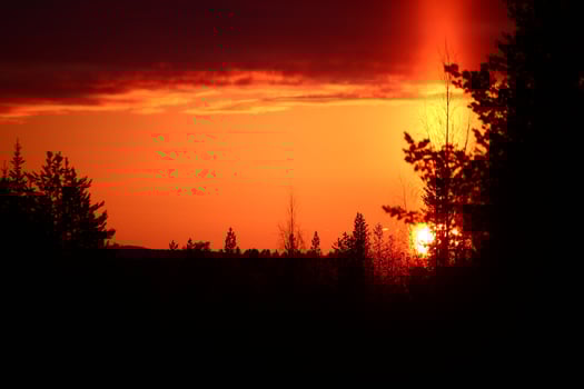 Sun pillar and orange sky with forest silhouette photo