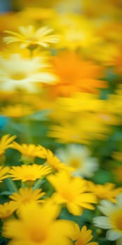 Vibrant garden filled with colorful yellow daisies in soft focus during a sunny afternoon photo
