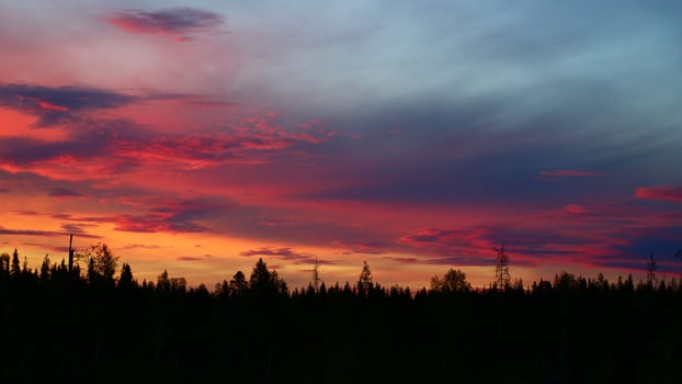 Colorful sunset clouds in front of forest silhouette photo