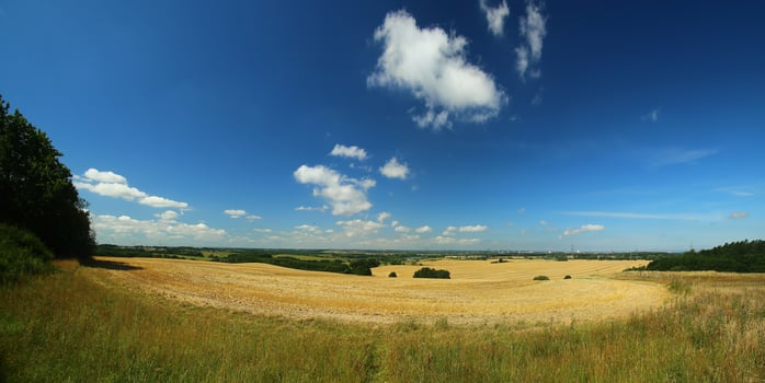 Countryside in nature reserve Kosterbecker Berge in Mecklenburg-Vorpommern, Germany photo