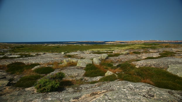 The nature reserve Hallon on an island near Smogen in Sweden photo