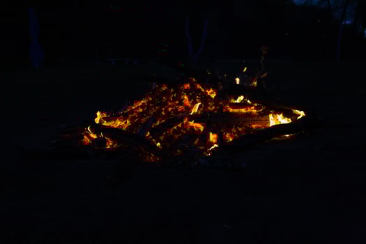 Beautiful fire flames on a campfire photo