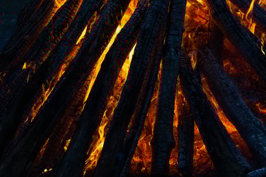 Beautiful fire flames on a campfire photo