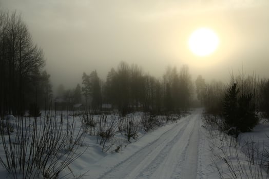 Snowy road on a misty day in Lapland photo
