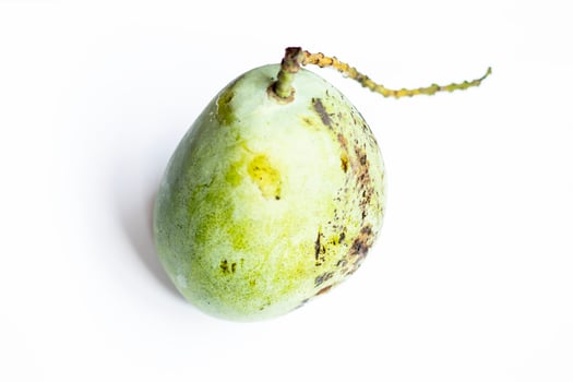Mango, the original Thai fruit. photo