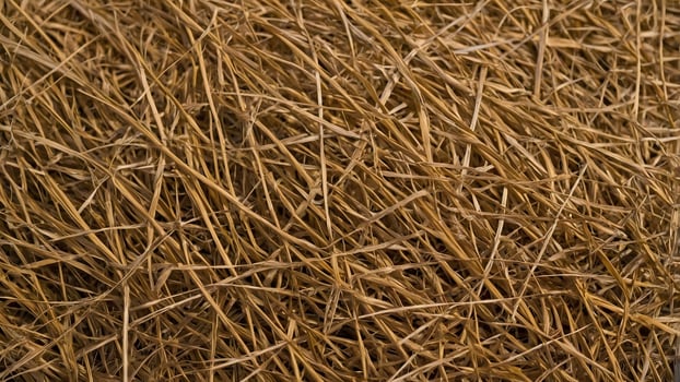 A close up of a pile of straw photo