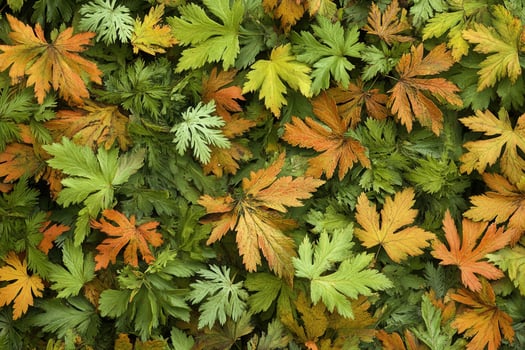 A vibrant mix of green and orange leaves on the ground. photo