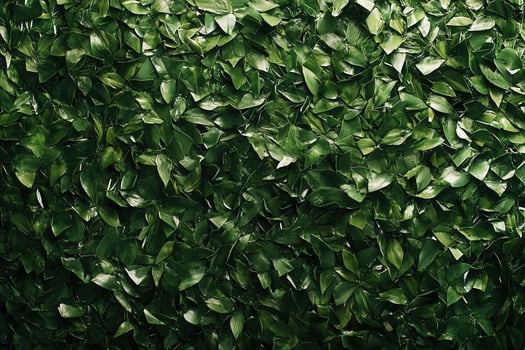 Dense green foliage background for design purposes. photo