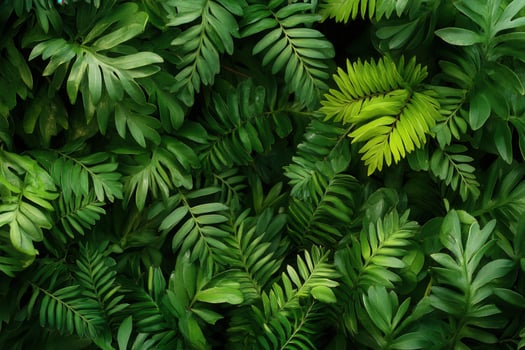 Lush green foliage with various fern leaves. photo