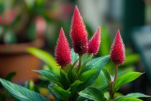 Vibrant red flowers with green leaves in a garden setting. photo