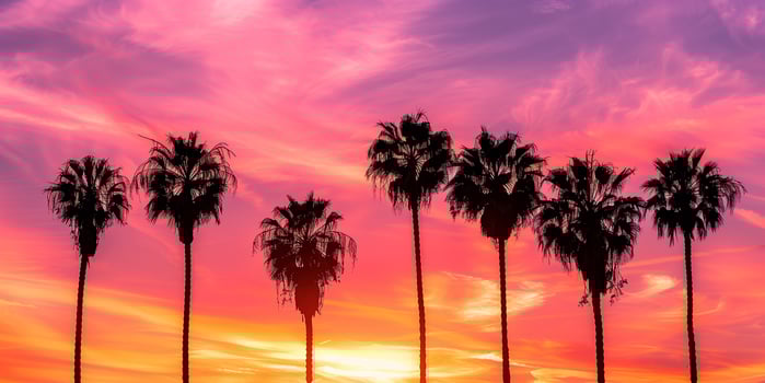 Silhouetted palm trees against vibrant orange and pink sunset sky, photorealistic photo