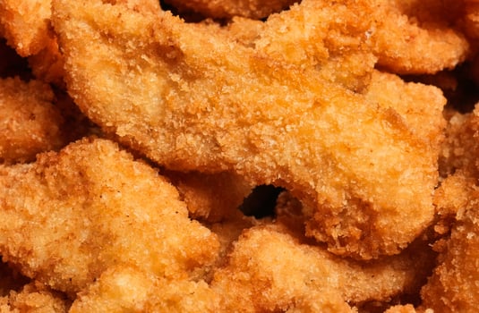 a close up of fried fish fillet photo