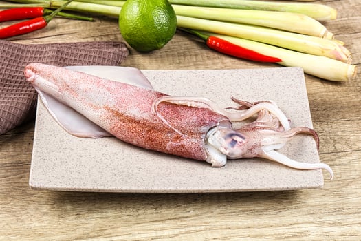 Raw fresh squid for cooking photo