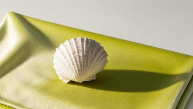 A single shell sitting on top of a green cloth photo