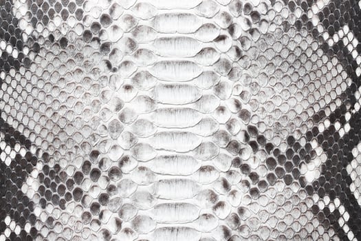 scaly texture of leather background, luxury python skin photo