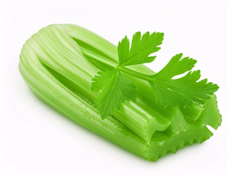 Celery isolated on white background photo