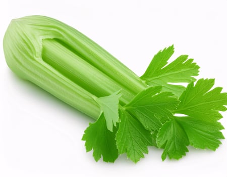 Celery isolated on white background photo