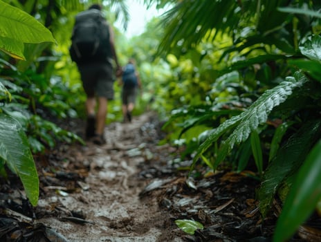Hiking through lush tropical jungle photo