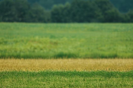 Vibrant countryside landscape with lush green fields photo
