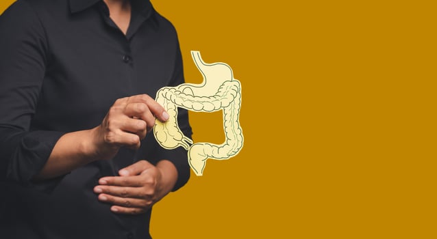 Hand holding a colon symbol and touching stomach painful suffering from stomachache causes of gastric ulcer, appendicitis, or gastrointestinal system disease photo