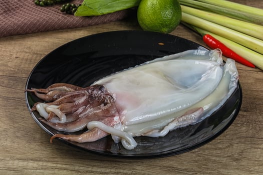 Raw fresh cuttlefish for cooking photo