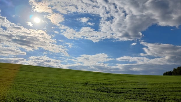 A field with green grass and clouds photo