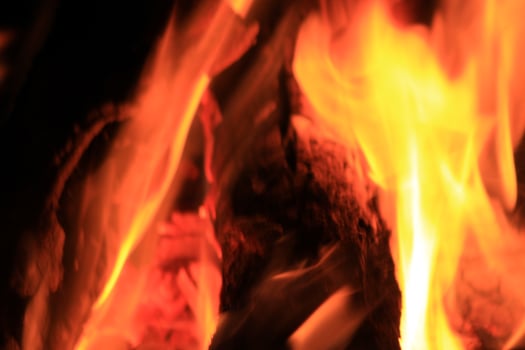 Fire Flames With A Black Background. photo