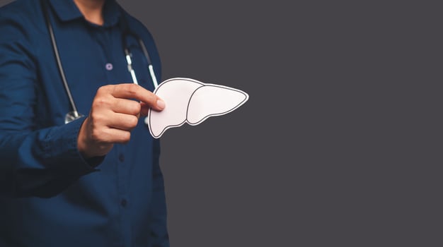 Doctor hand holding a liver shape symbol while standing on a gray background photo