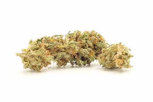 Dry cannabis buds flowers on a white background photo