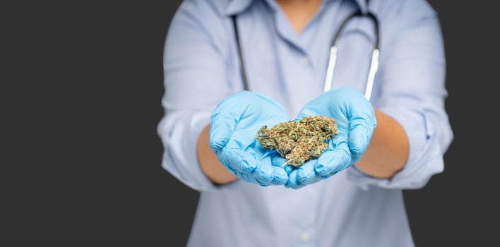 Doctor holding dry cannabis buds flower while standing in the medical science laboratory photo